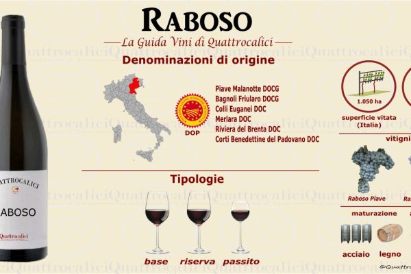 Raboso: Skvostné italské víno s bohatou historií